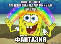 agile, хорошее проектирование,заказчик у нас лапочка фантазия