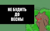 Не Будить
До
Весны