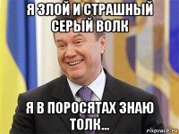 я злой и страшный серый волк я в поросятах знаю толк...