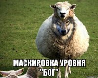  маскировка уровня "бог"