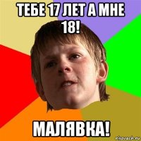 тебе 17 лет а мне 18! малявка!