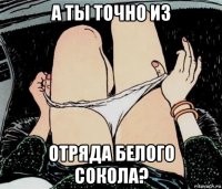 а ты точно из отряда белого сокола?