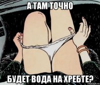 а там точно будет вода на хребте?