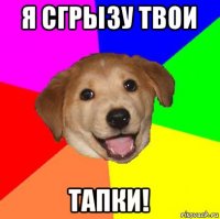 я сгрызу твои тапки!