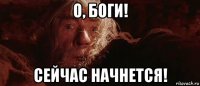 о, боги! сейчас начнется!