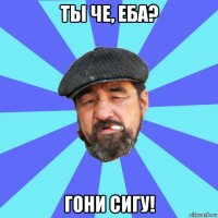 ты че, еба? гони сигу!