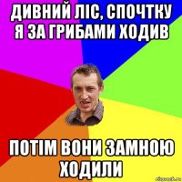 дивний ліс, спочтку я за грибами ходив потім вони замною ходили