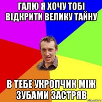 галю я хочу тобі відкрити велику тайну в тебе укропчик між зубами застряв