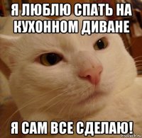 я люблю спать на кухонном диване я сам все сделаю!