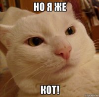 но я же кот!