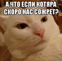 а что если котяра скоро нас сожрет? 