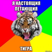 я настоящия летающия тигра