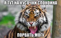 я тут на кусочки спокойна порвать могу