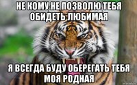 не кому не позволю тебя обидеть любимая я всегда буду оберегать тебя моя родная