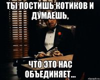 ты постишь котиков и думаешь, что это нас объединяет...