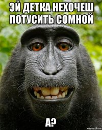 эй детка нехочеш потусить сомной а?