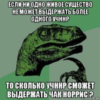 если ни одно живое существо не может выдержать более одного учннр то сколько учннр сможет выдержать чак норрис ?