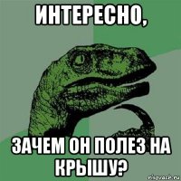 интересно, зачем он полез на крышу?