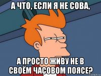 а что, если я не сова, а просто живу не в своём часовом поясе?