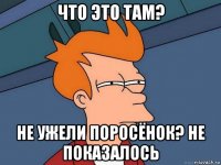 что это там? не ужели поросёнок? не показалось