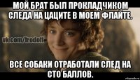 мой брат был прокладчиком следа на цаците в моем флайте. все собаки отработали след на сто баллов.