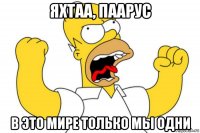 яхтаа, паарус в это мире только мы одни