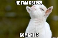 че там сверху, бомбите?