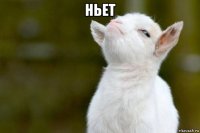 ньет 