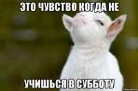 это чувство когда не учишься в субботу