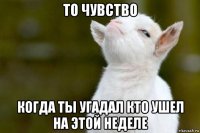 то чувство когда ты угадал кто ушел на этой неделе