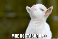  мне поставили 5+