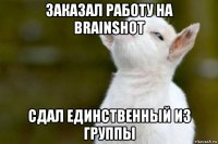 заказал работу на brainshot сдал единственный из группы