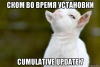 ском во время установки cumulative update 7