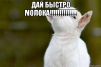 дай быстро молока!!!!!!!!!!!!!! 