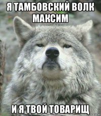 я тамбовский волк максим и я твой товарищ