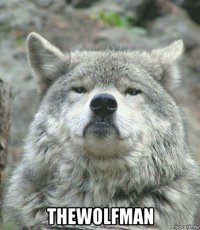  thewolfman