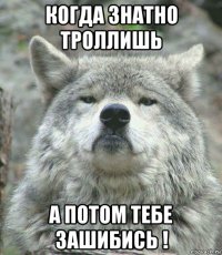 когда знатно троллишь а потом тебе зашибись !