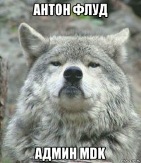 антон флуд админ mdk