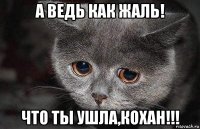 а ведь как жаль! что ты ушла,кохан!!!