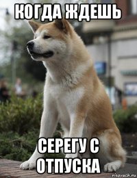 когда ждешь серегу с отпуска