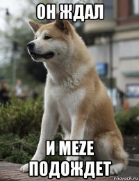 он ждал и meze подождет