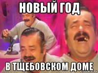 новый год в тщебовском доме