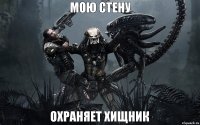 мою стену охраняет хищник