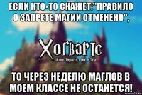 если кто-то скажет:"правило о запрете магии отменено", то через неделю маглов в моем классе не останется!