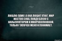 Люблю Ламу. А она любит утюг. Мир жесток сука, пойду бухну с калькулятором и микроволновкой. Только тапочек меня и понимает.