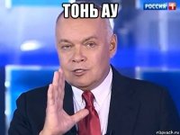 тонь ау 