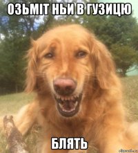 озьміт ньи в гузицю блять