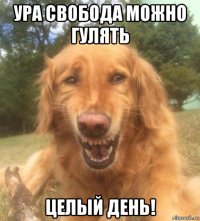 ура свобода можно гулять целый день!