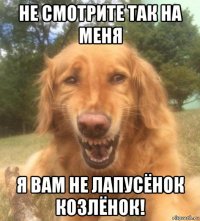 не смотрите так на меня я вам не лапусёнок козлёнок!