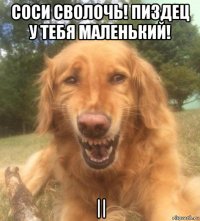 соси сволочь! пиздец у тебя маленький! ||